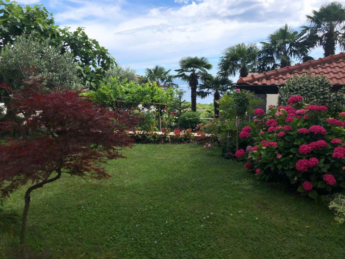 Palm Garden *